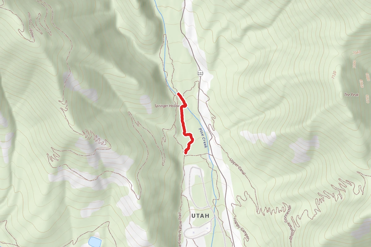 Nature Trail