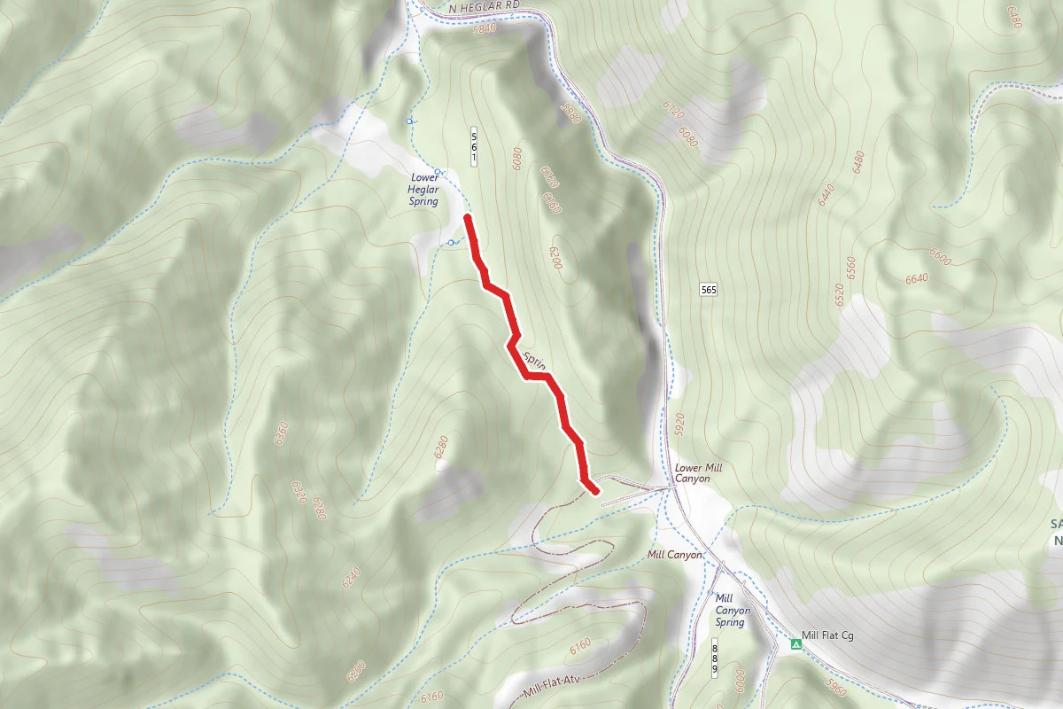 Spring Canyon