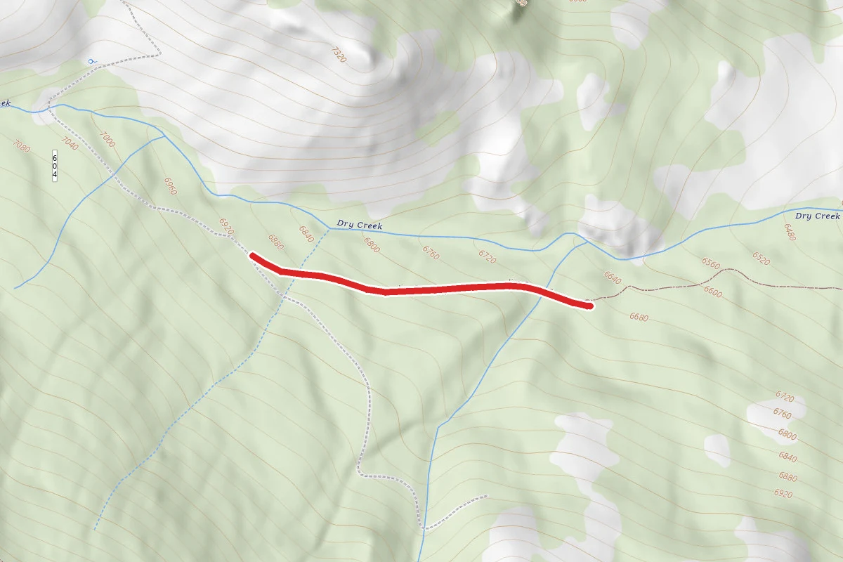 Jim Carter Spur