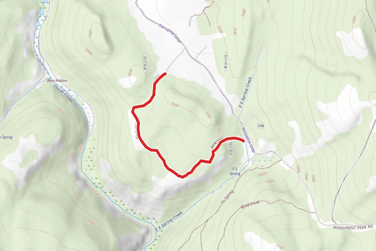 Pine Loop