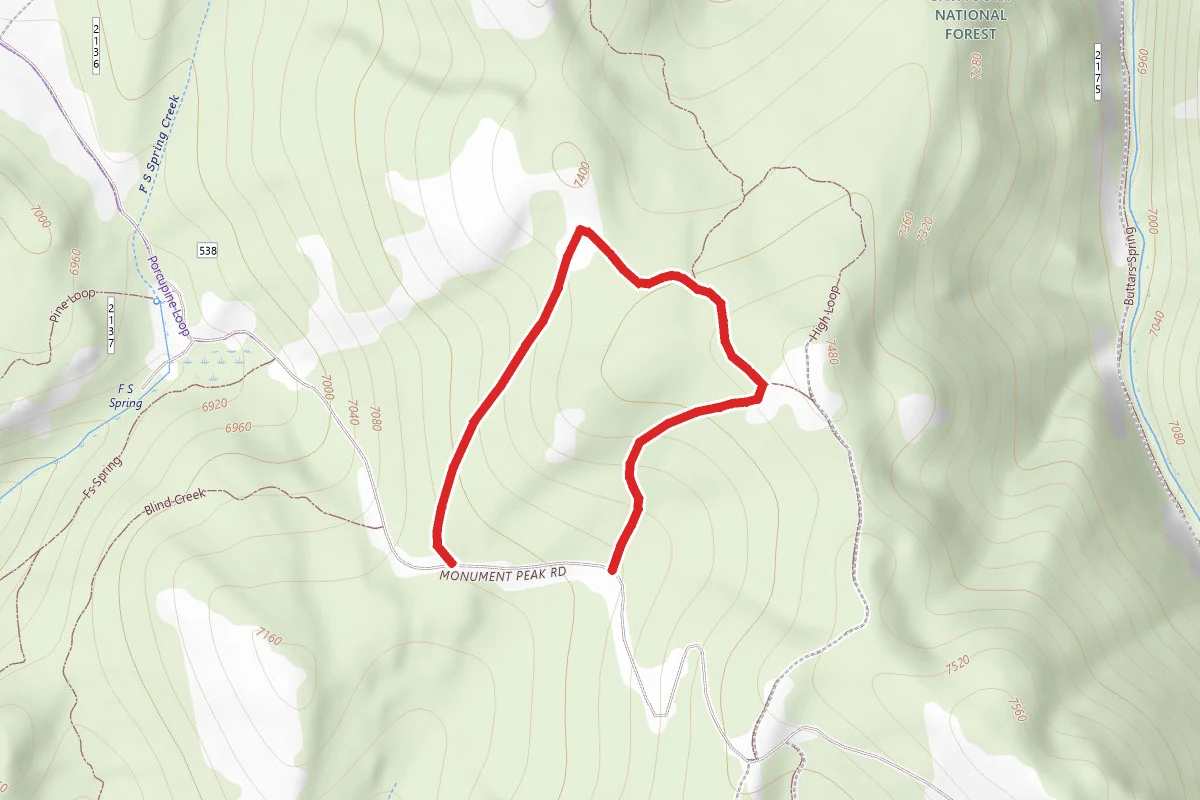 Blind Loop