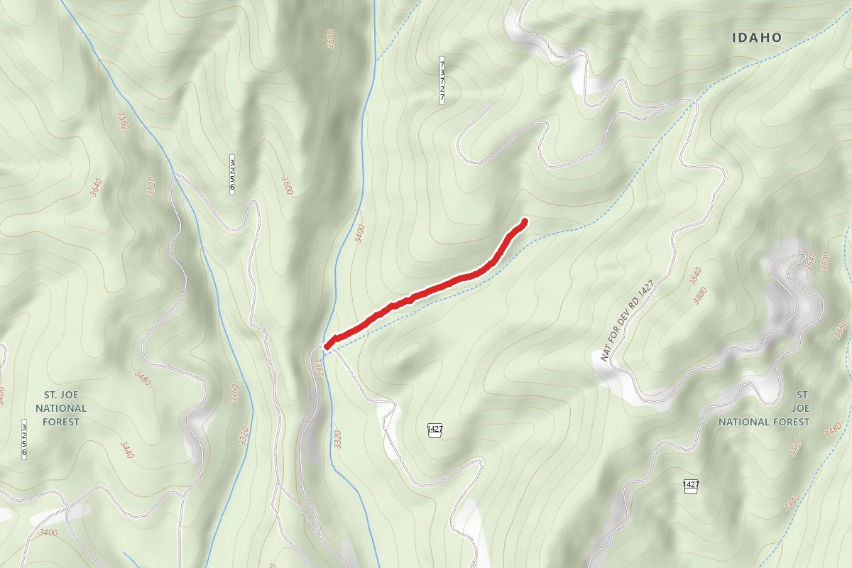 Excavation Gulch C