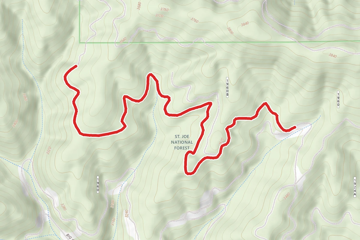 Chesley Creek B