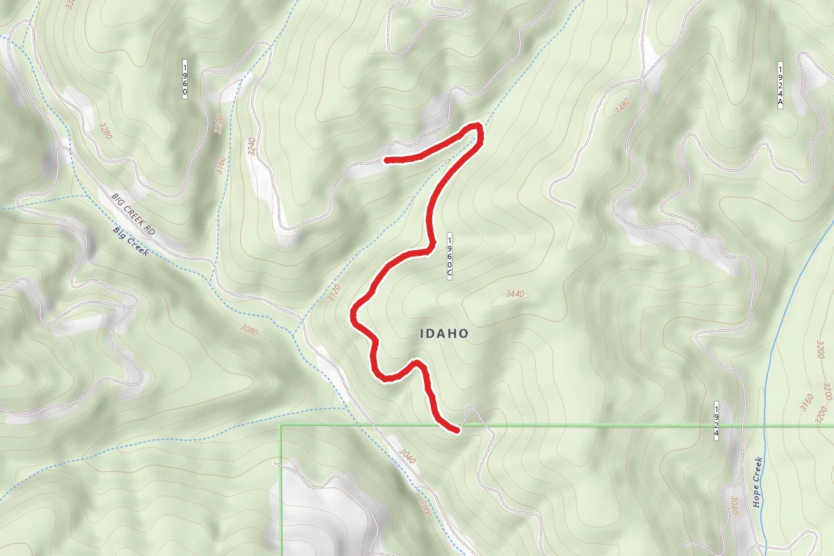 Chesley Creek C