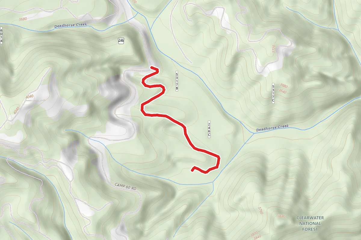 Scofields Horseshoe