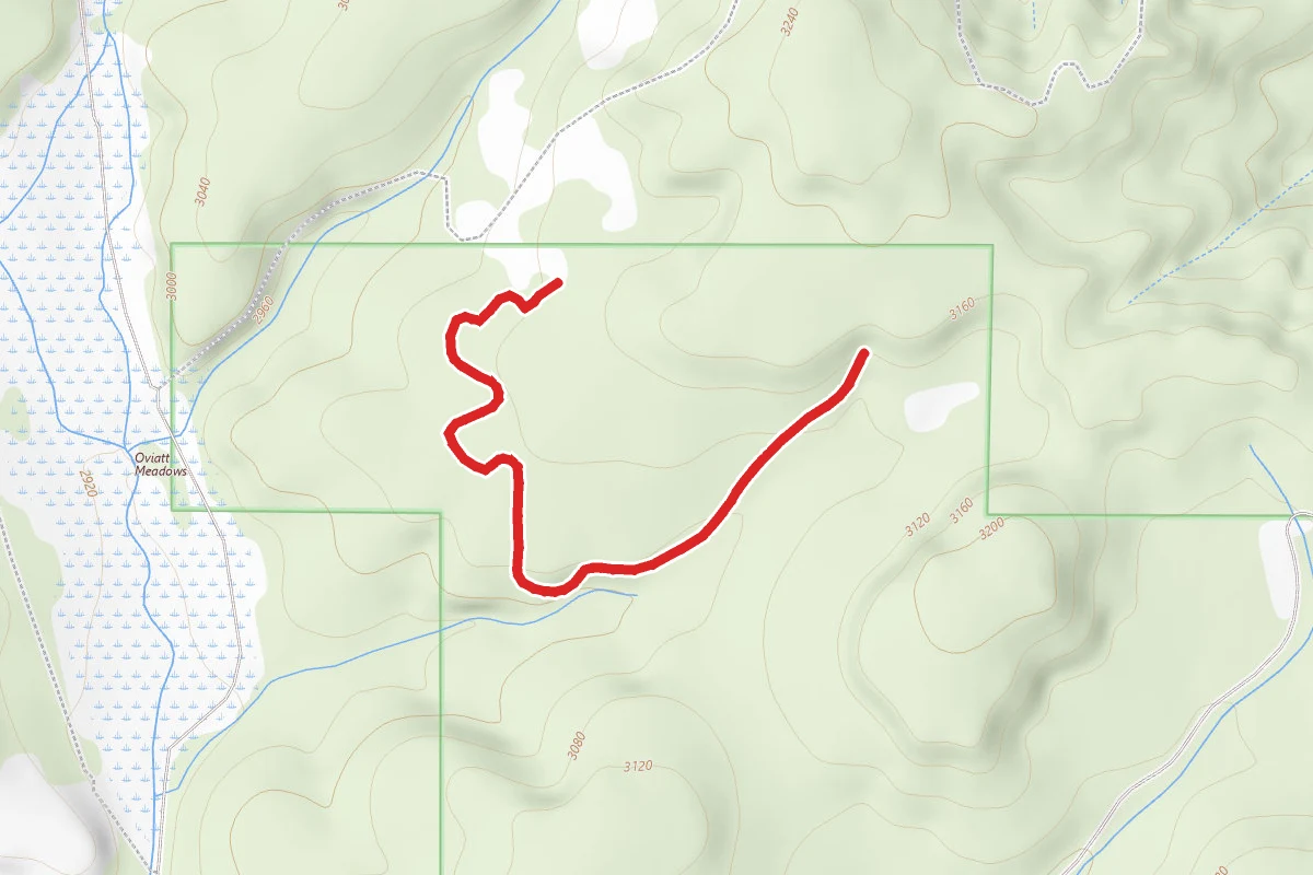Kameron Ridge B