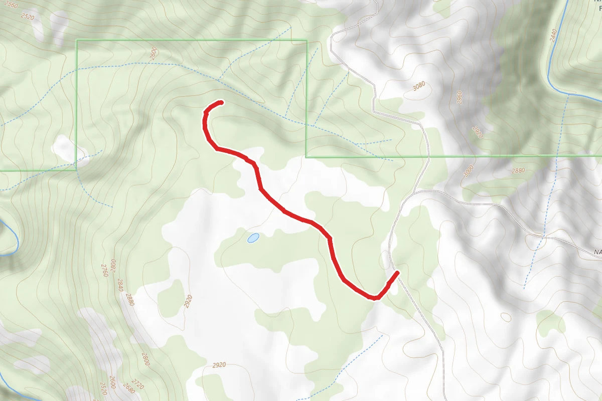 Lower Corral Creek