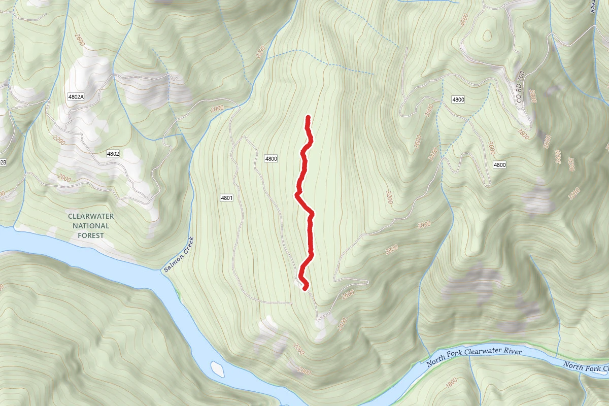 Salmon Creek B