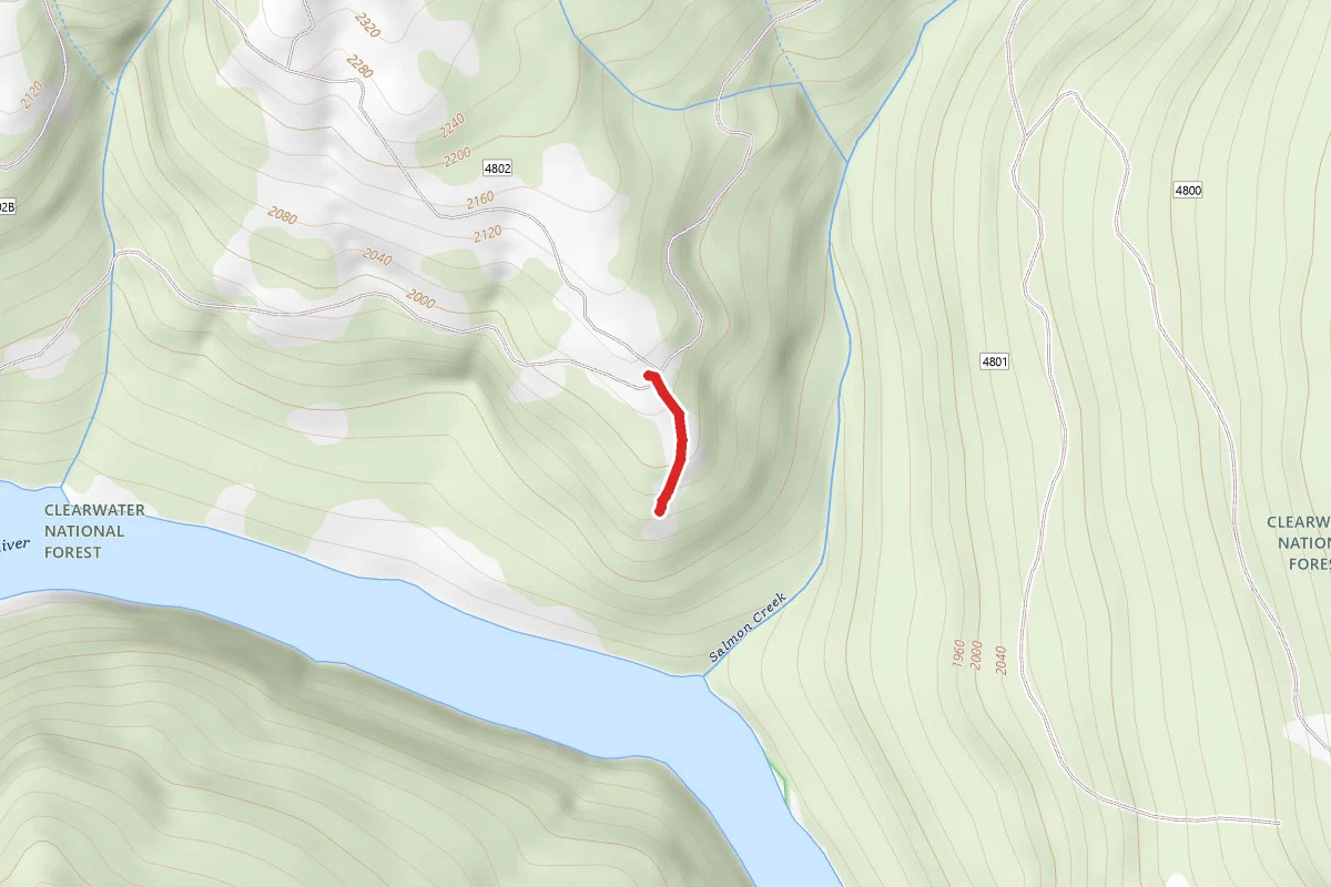 Salmon Creek E