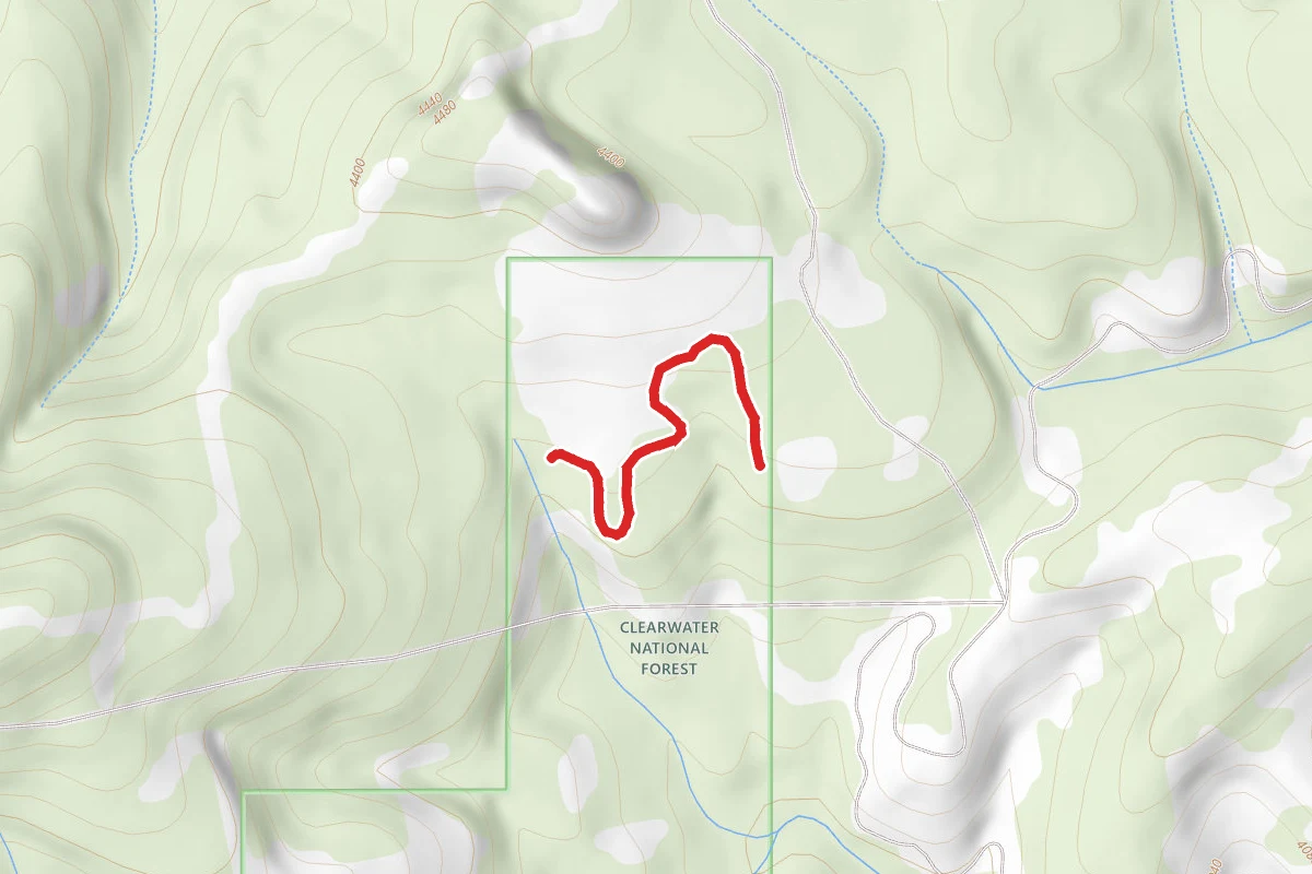 Johnson Gulch A