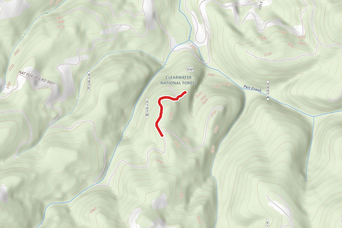 East Fan Creek D
