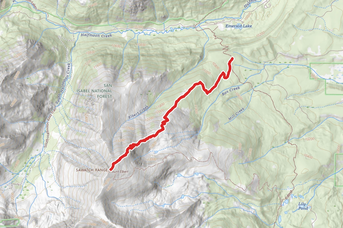 Mount Elbert: North Mount Elbert Trail