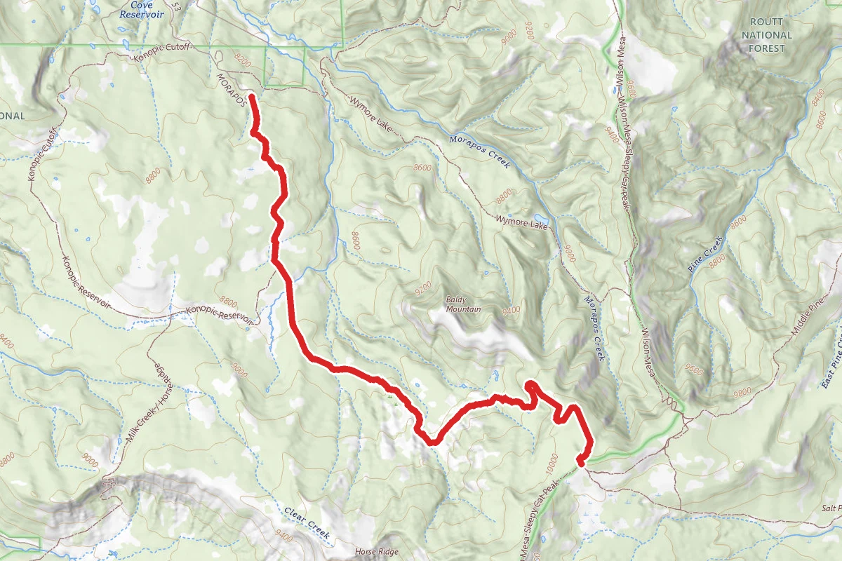 Salt Park Trail
