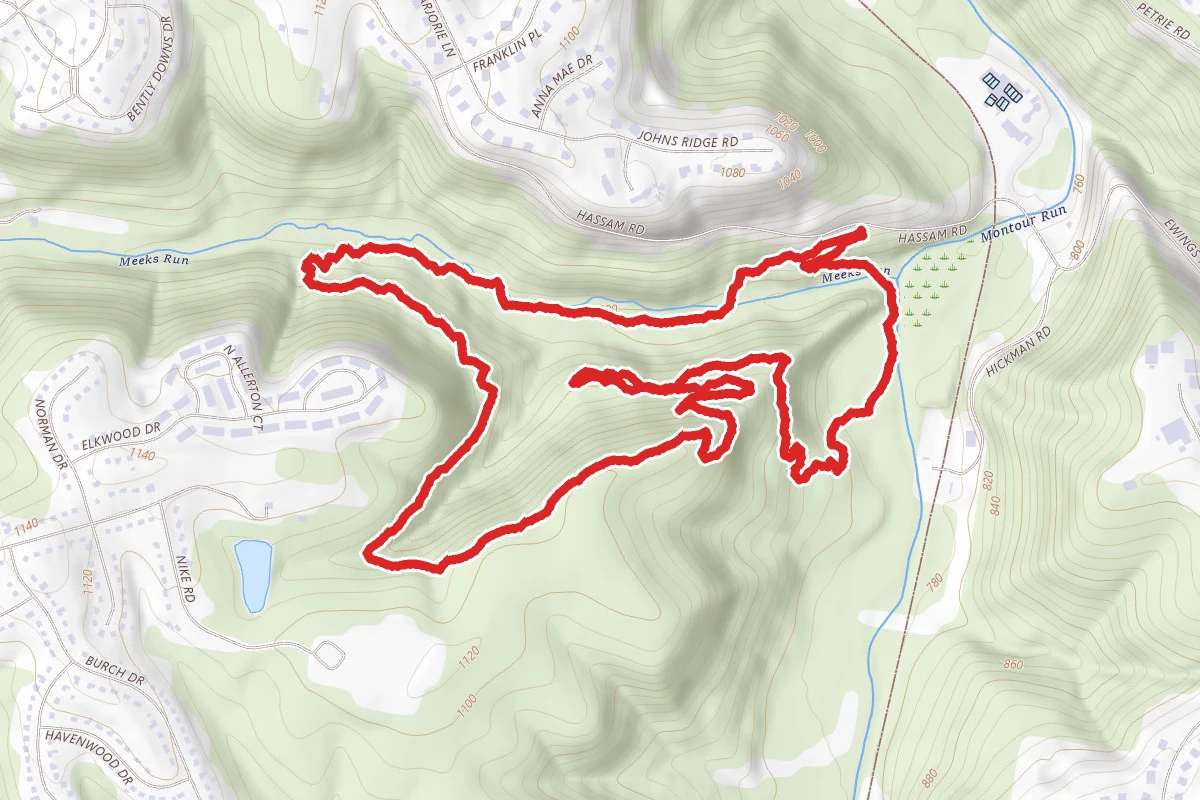 Hollow Oak Loop