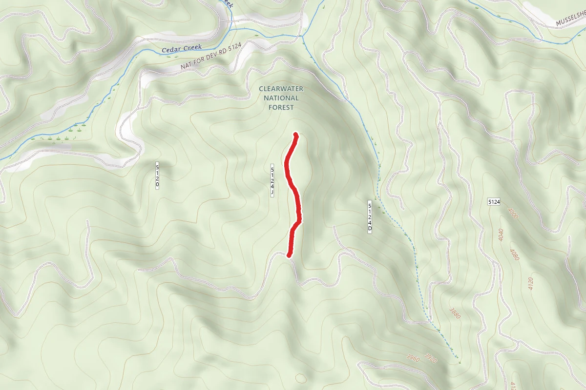 Eldorado Ridge J