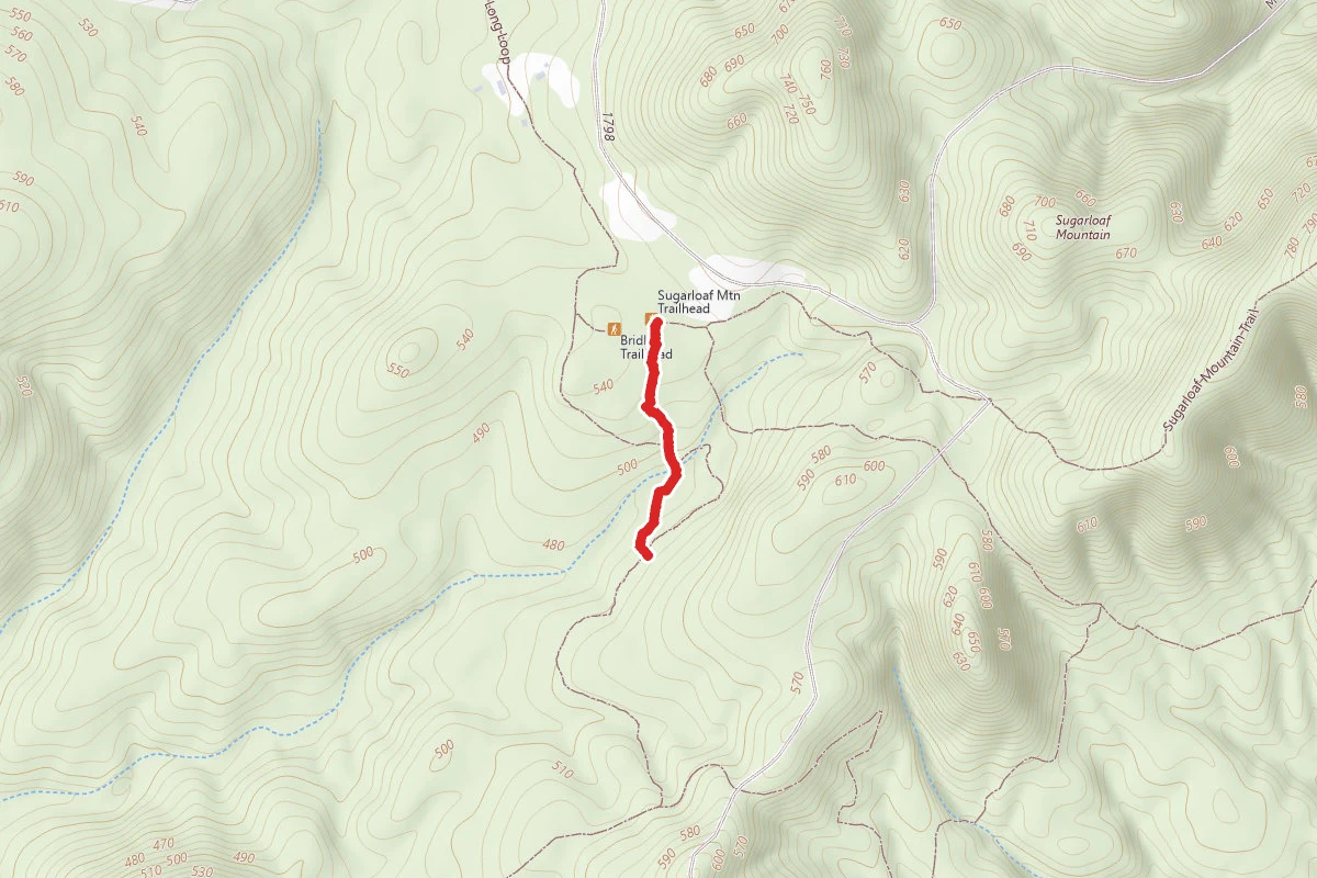 Bridle - Long Loop