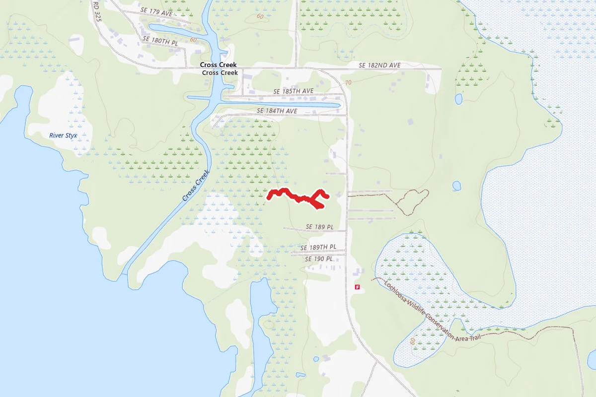 Jungle Hammock Trail