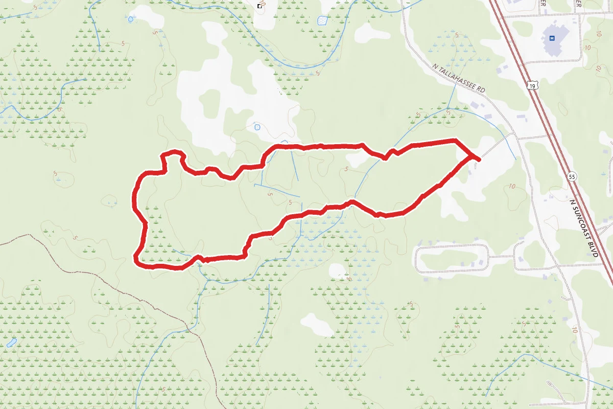 Ecowalk