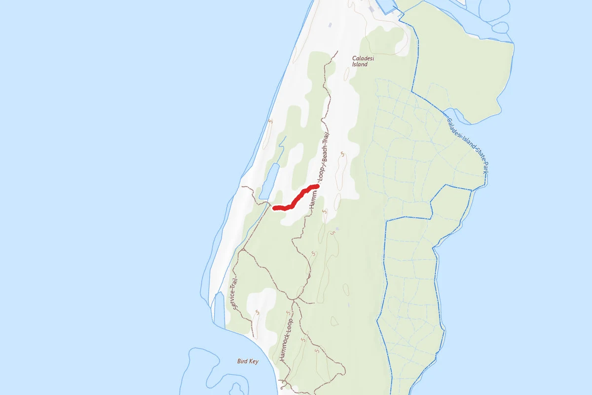 Beach Trail