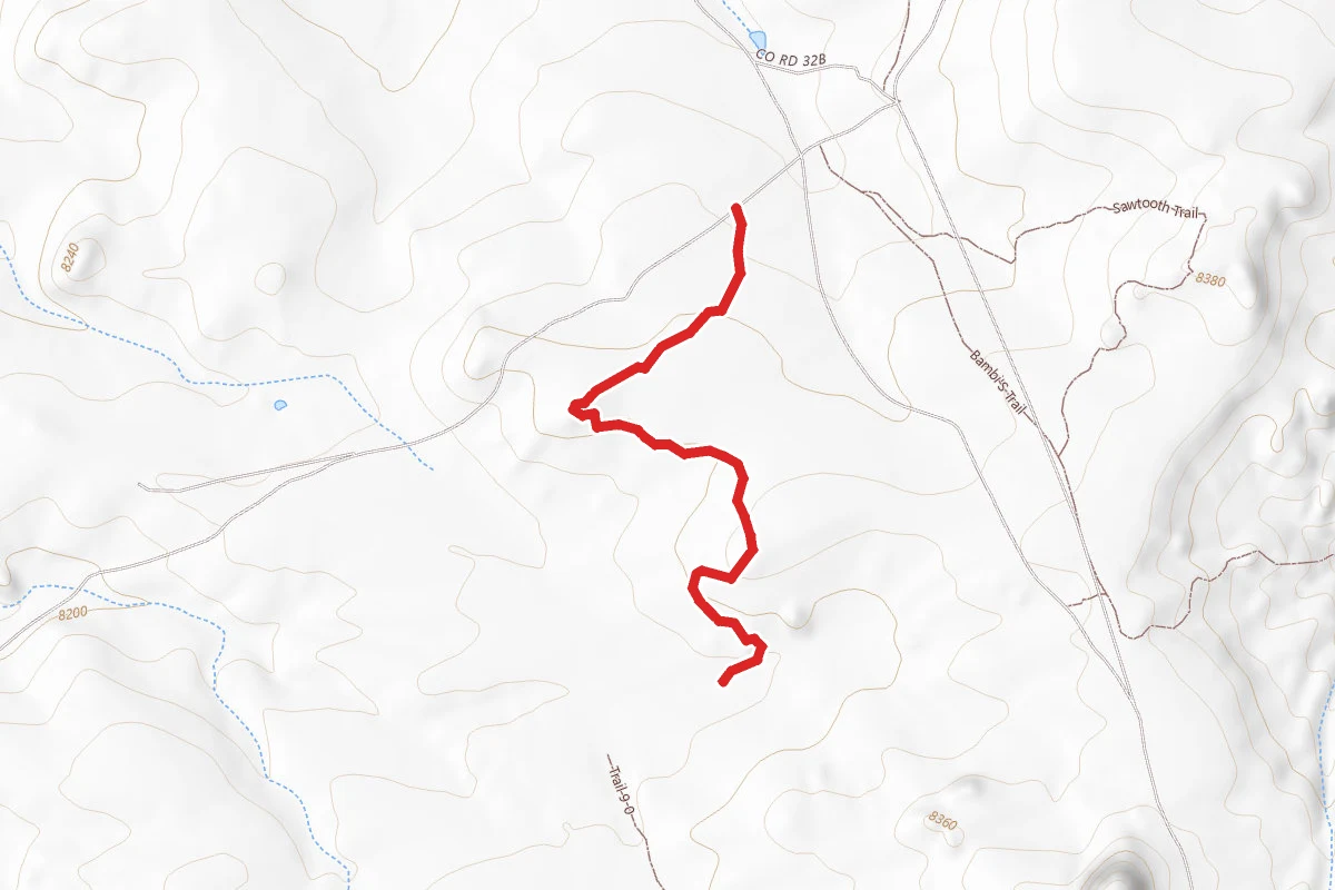 Back in Trail