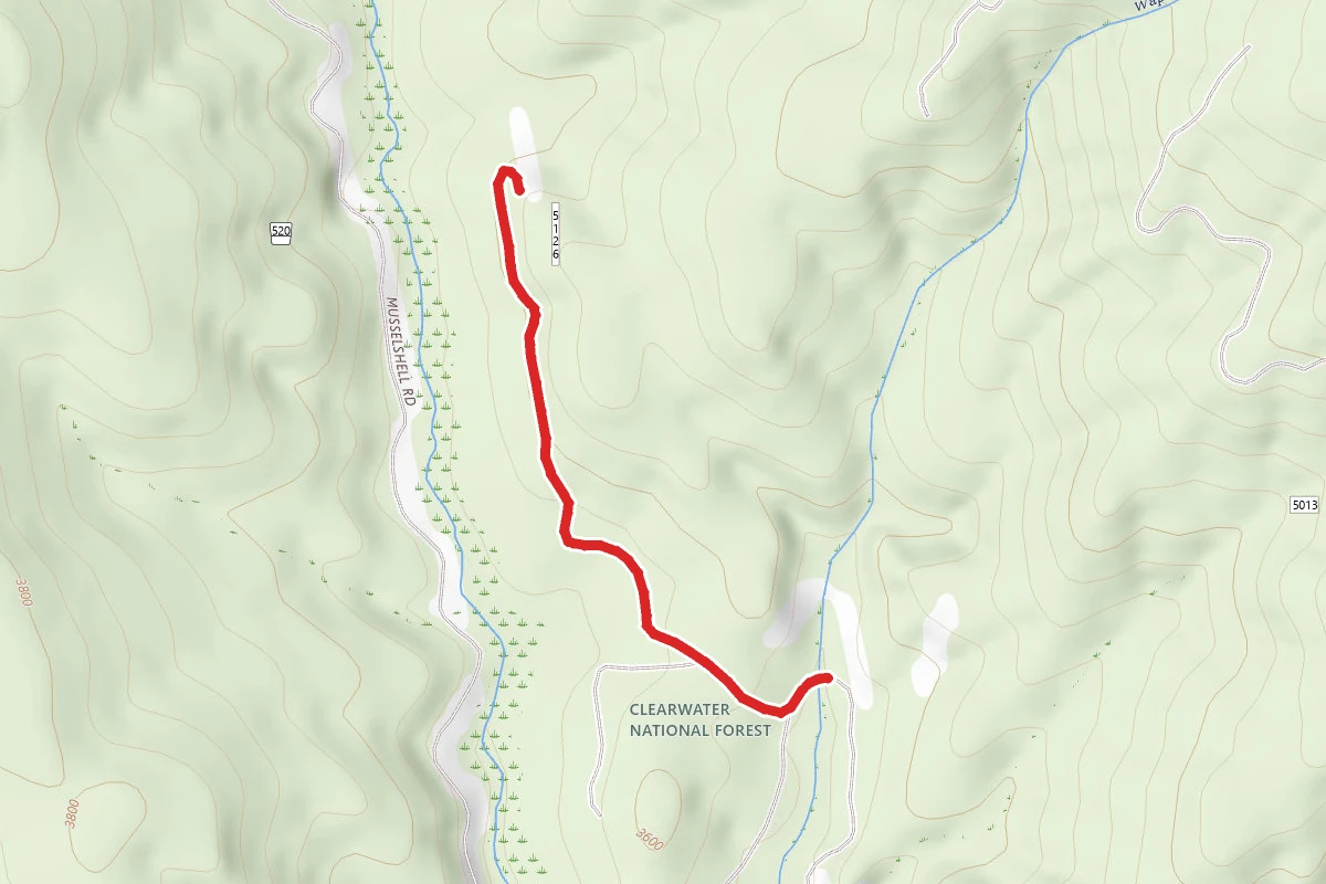 Wapiti Creek