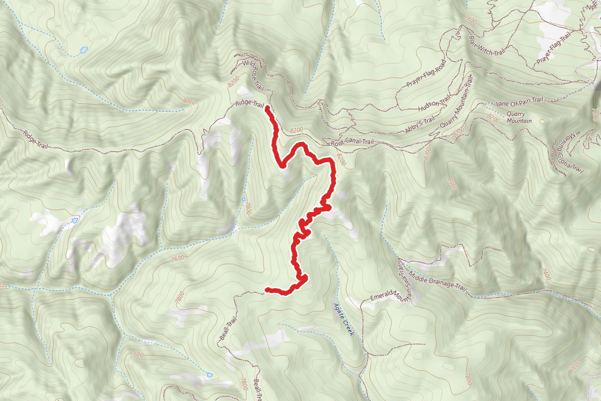 Beall Trail
