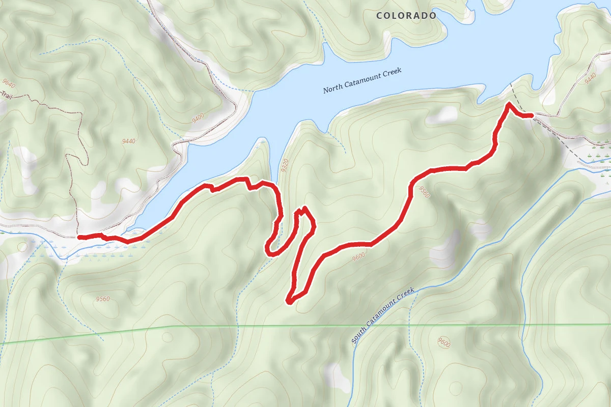 Limber Pine Trail