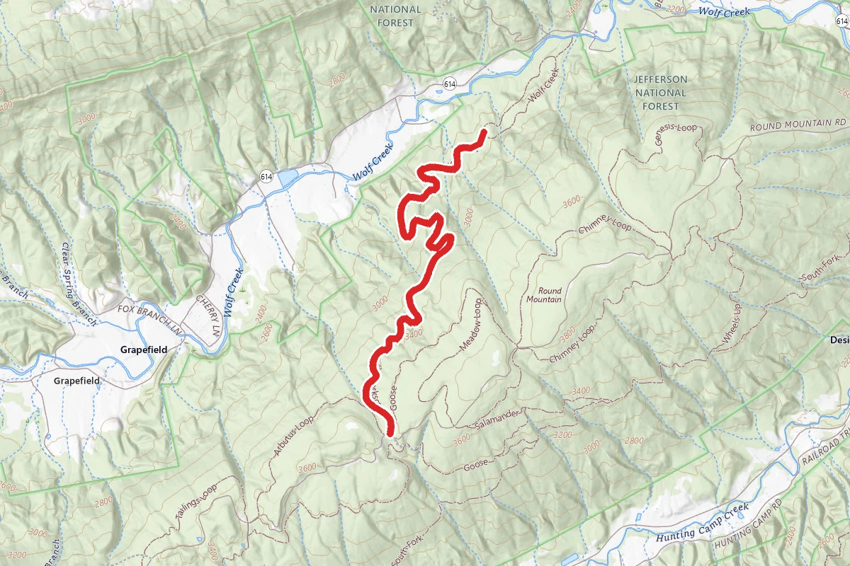 Corkscrew Trail - Forest Trail 6703
