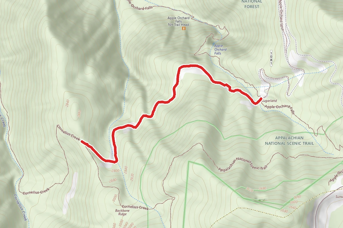 Cornelius Creek Spur - Forest Trail 18A