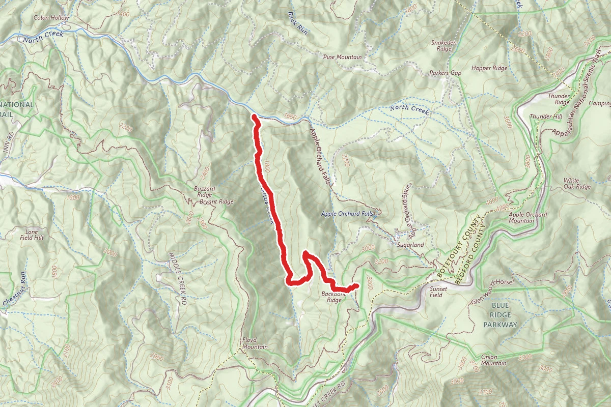 Cornelius Creek Trail - Forest Trail 18