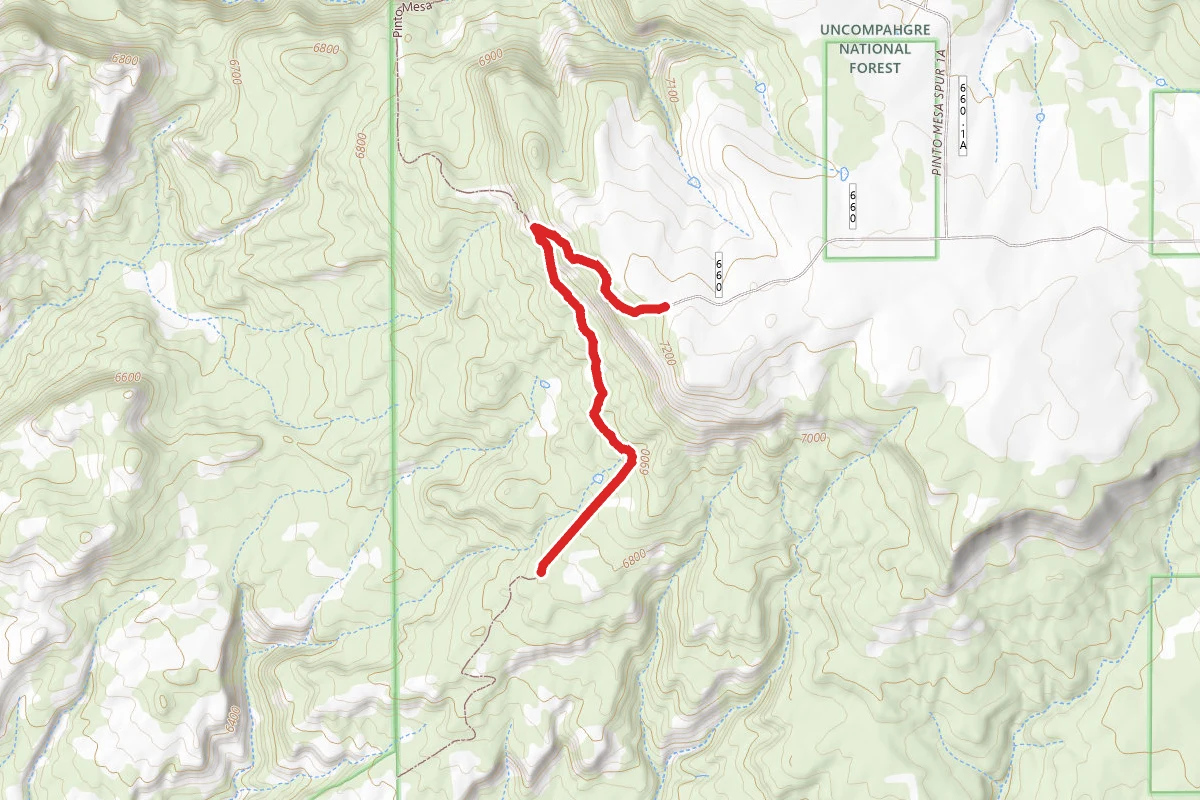 Paradox Trail