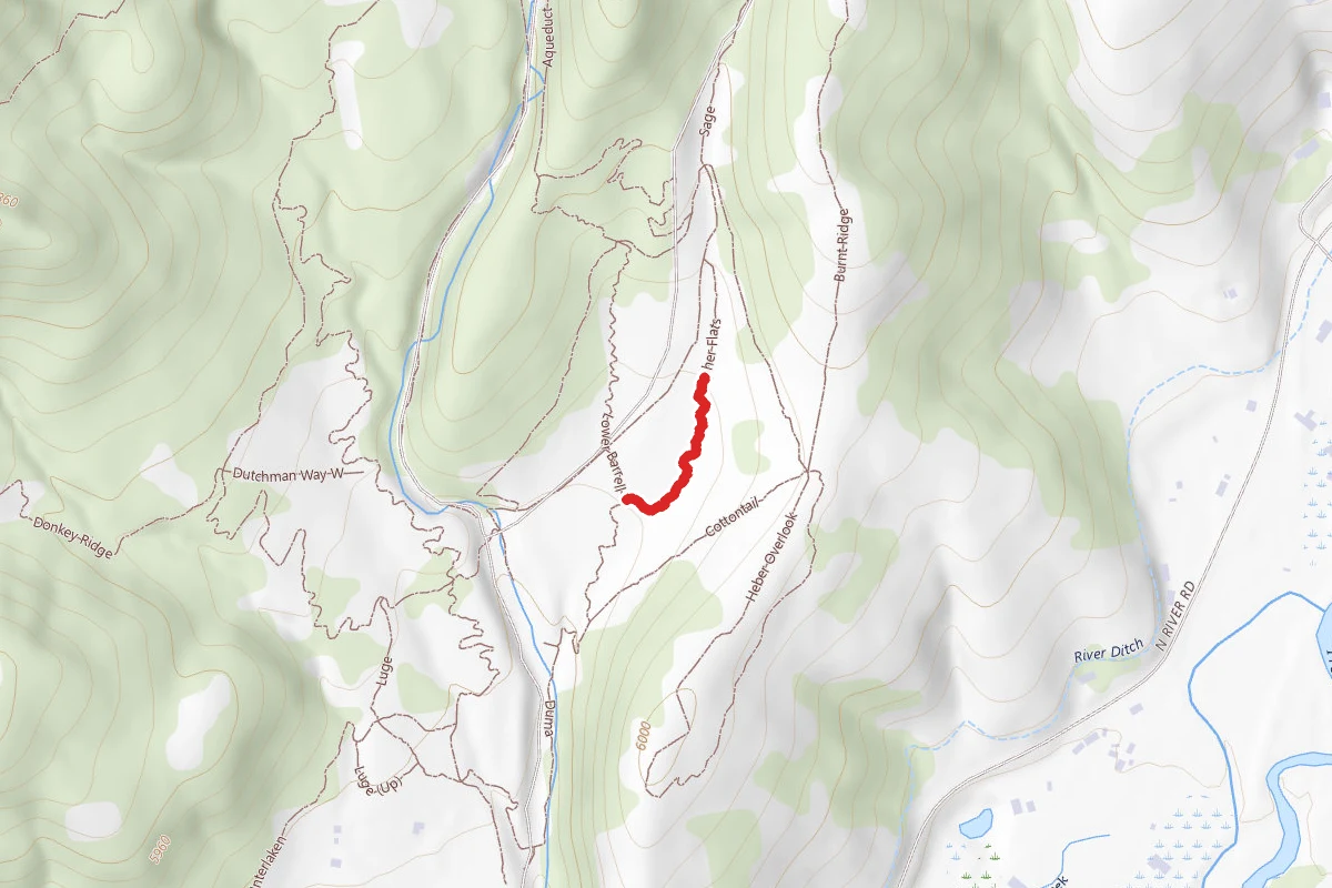 Cottontail Loop