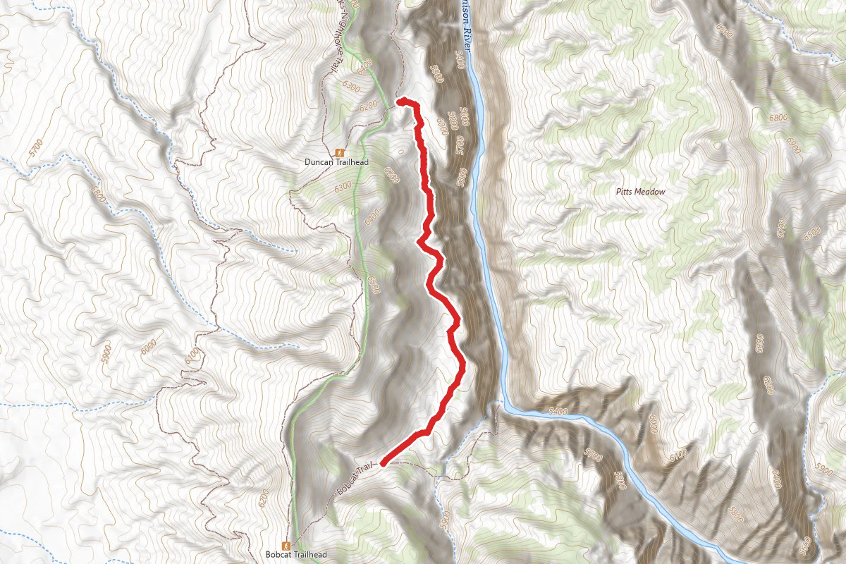 Bighorn Trail