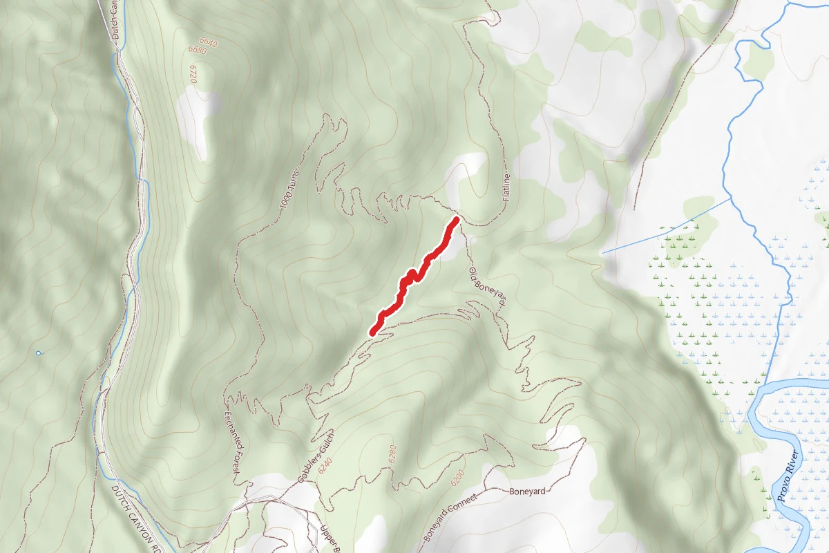 Enchanted Forest route map