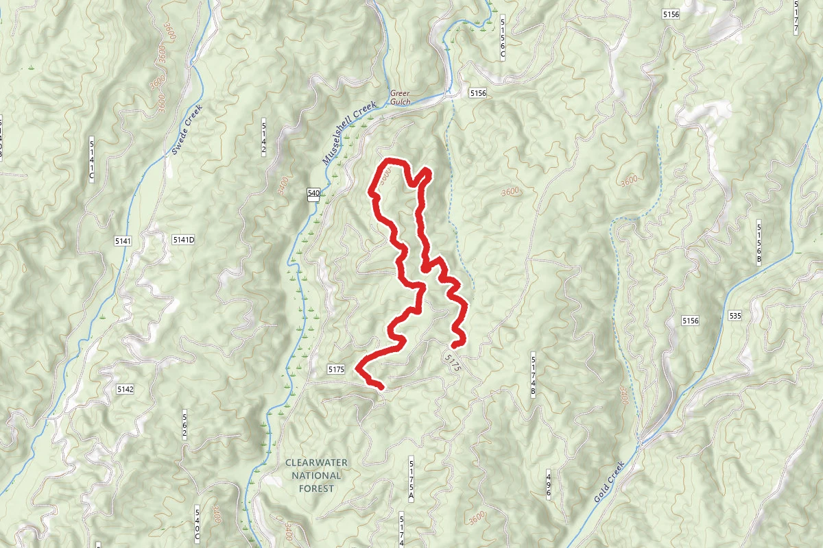Chute Loop
