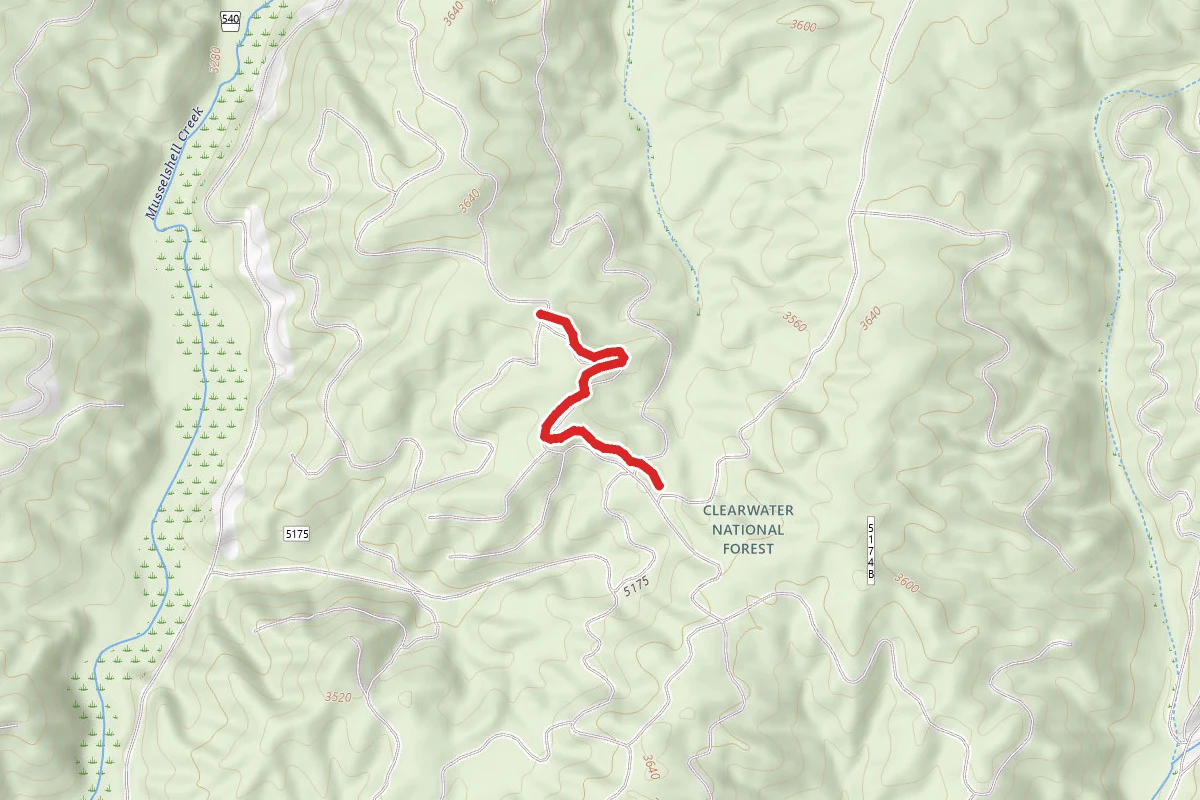 Chute Loop A