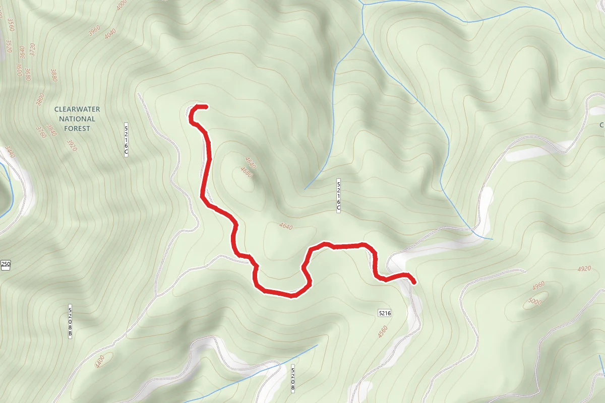 Tamarack Face C