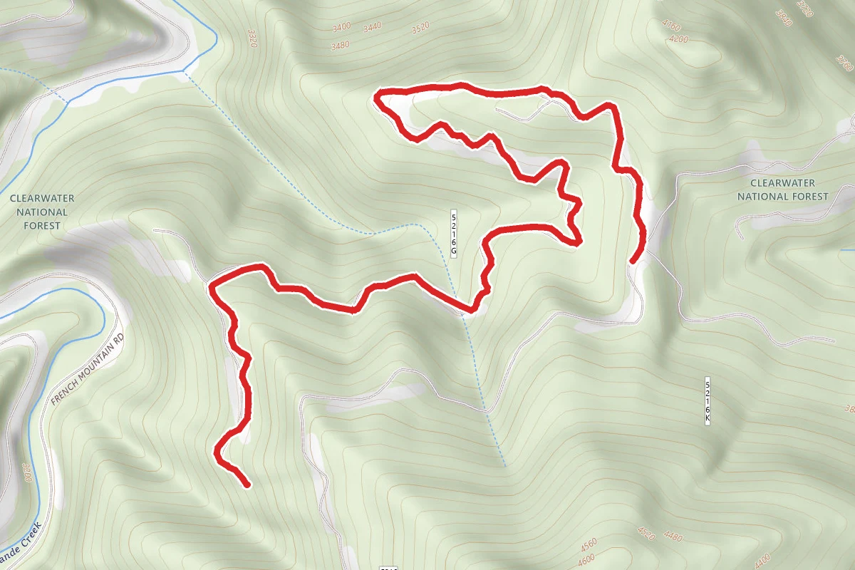 Tamarack Face G