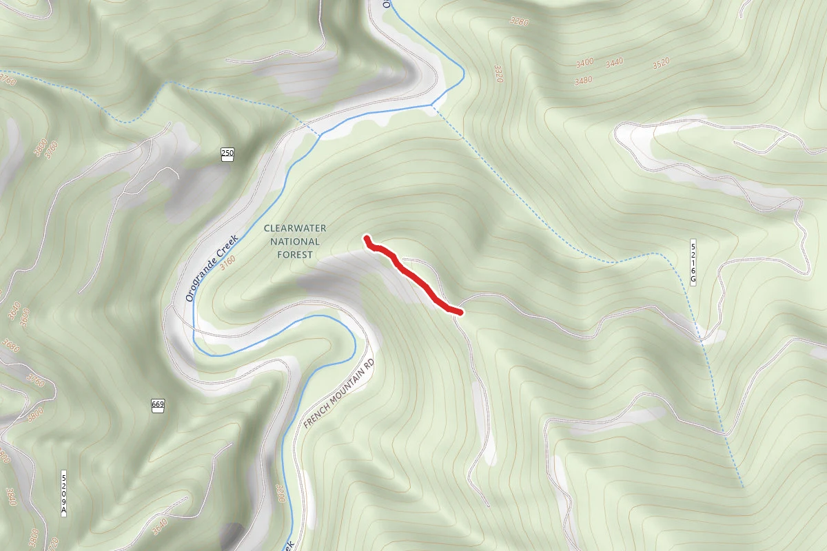 Tamarack Face H