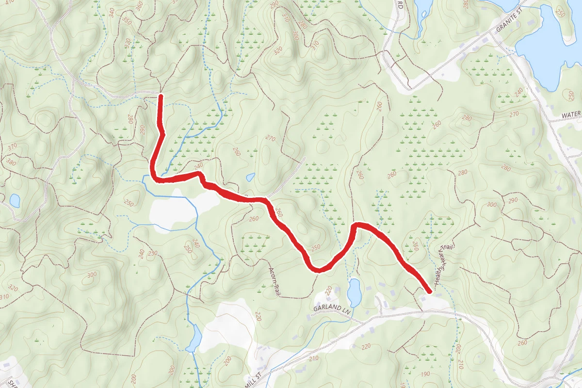 Wolf Meadow Trail