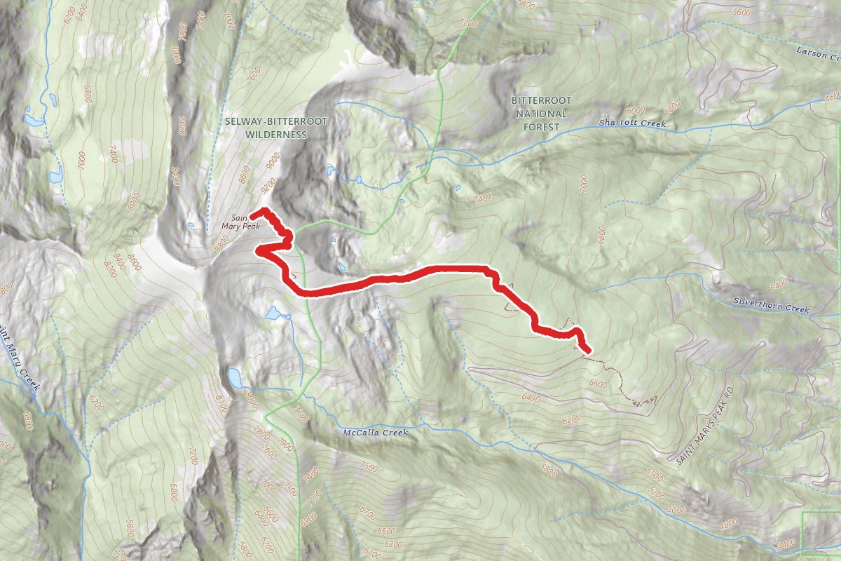 Saint Mary Peak Trail
