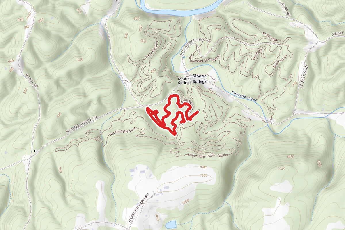 Original Loop