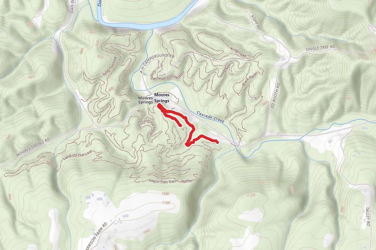 Original Loop