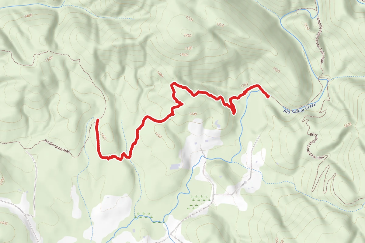 Bridle Out-And-Back Trail