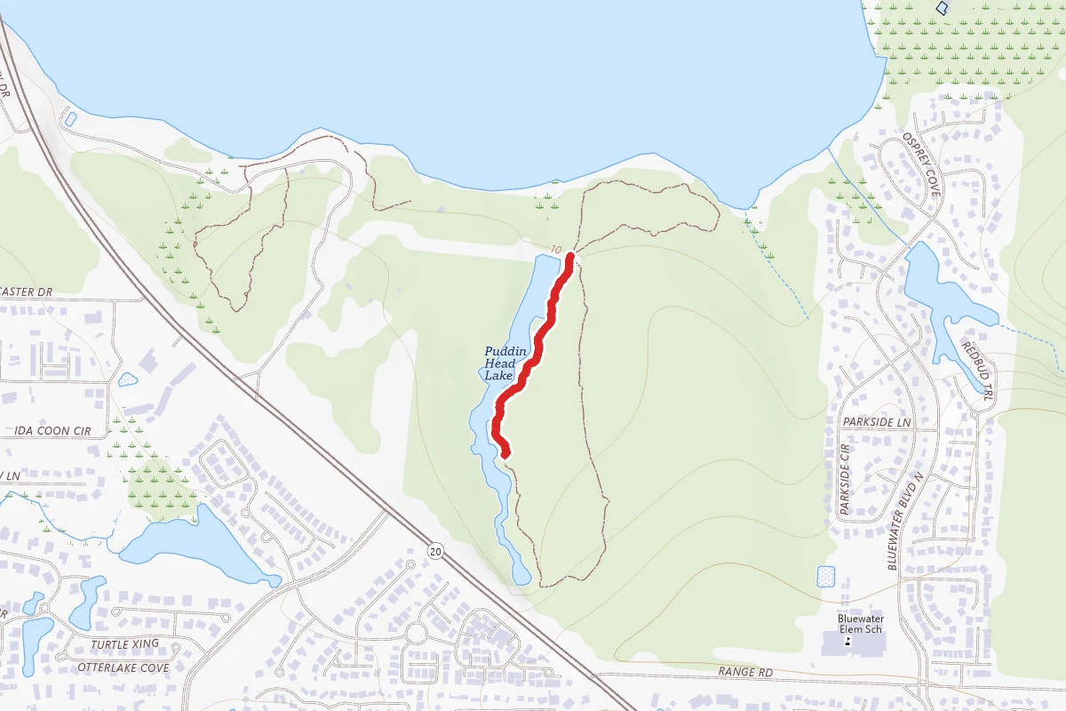 Sand Pine Trail