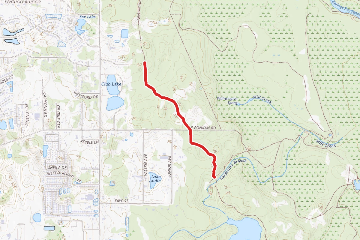 Hiking/Biking