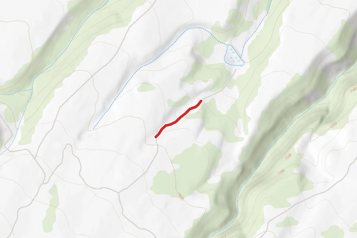 Turner's Loop