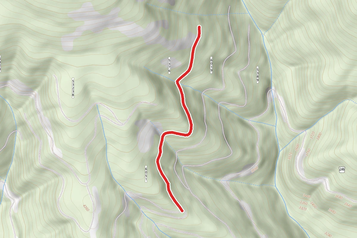 Little Washington Creek