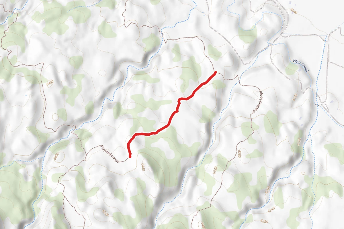 Playland Loops Trail