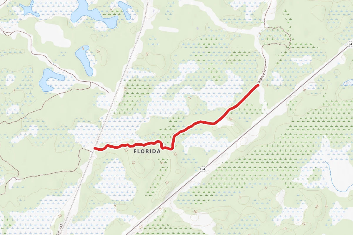 Trail Off Park Trail 3
